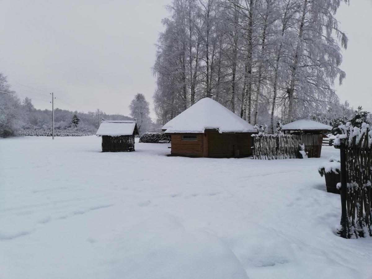 Вилла Perkonu Namins Балви Экстерьер фото