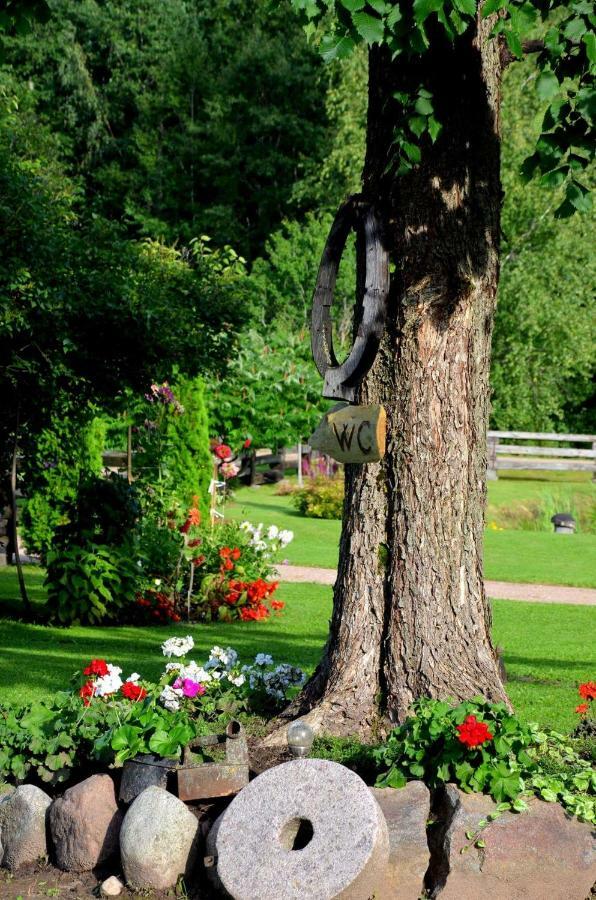 Вилла Perkonu Namins Балви Экстерьер фото
